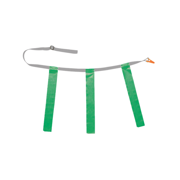 Champion Triple Flag Football Belt