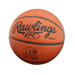 Rawlings OHSAA 28.5" Basketball