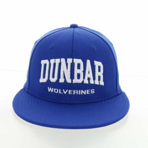 Outdoor Cap Dunbar Wolverines Hat